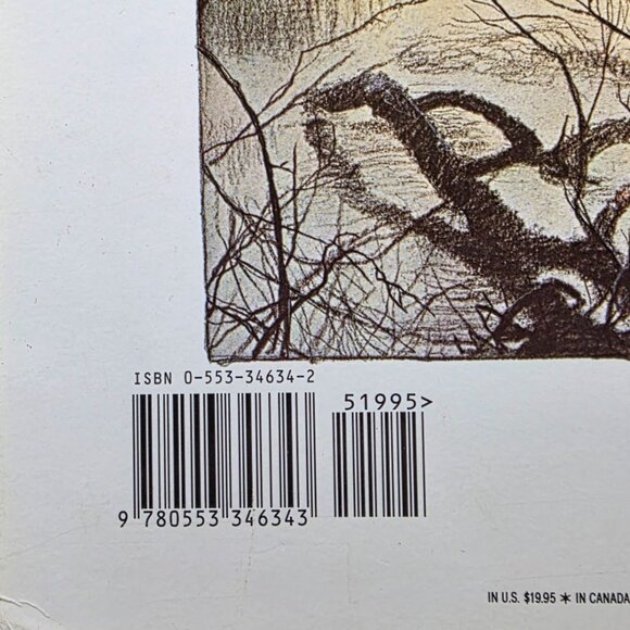 The Book Of The Dragon & Faeries Illustrated Books fantasy mythical magical - Picture 6 of 11